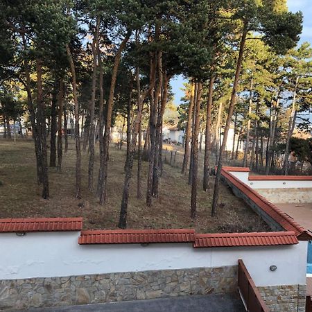 Апартамент "Forest View" В Комплекс "Вели Хилс" 韦林格勒 外观 照片